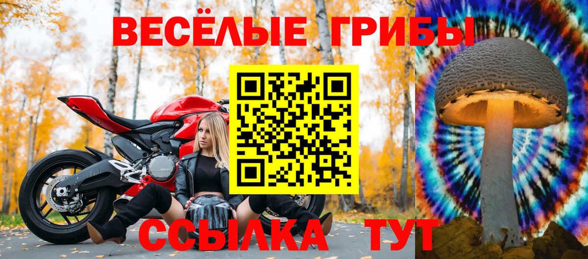 Галлюциногенные грибы ЛСД  Галлюциногенные грибы прущие грибы  Медногорск  Вход с VPN 