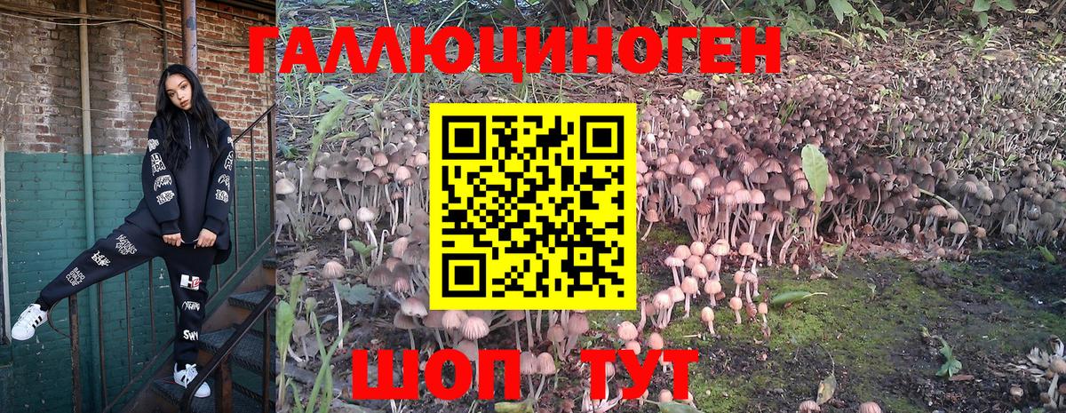 Псилоцибиновые грибы MAGIC MUSHROOMS Медногорск